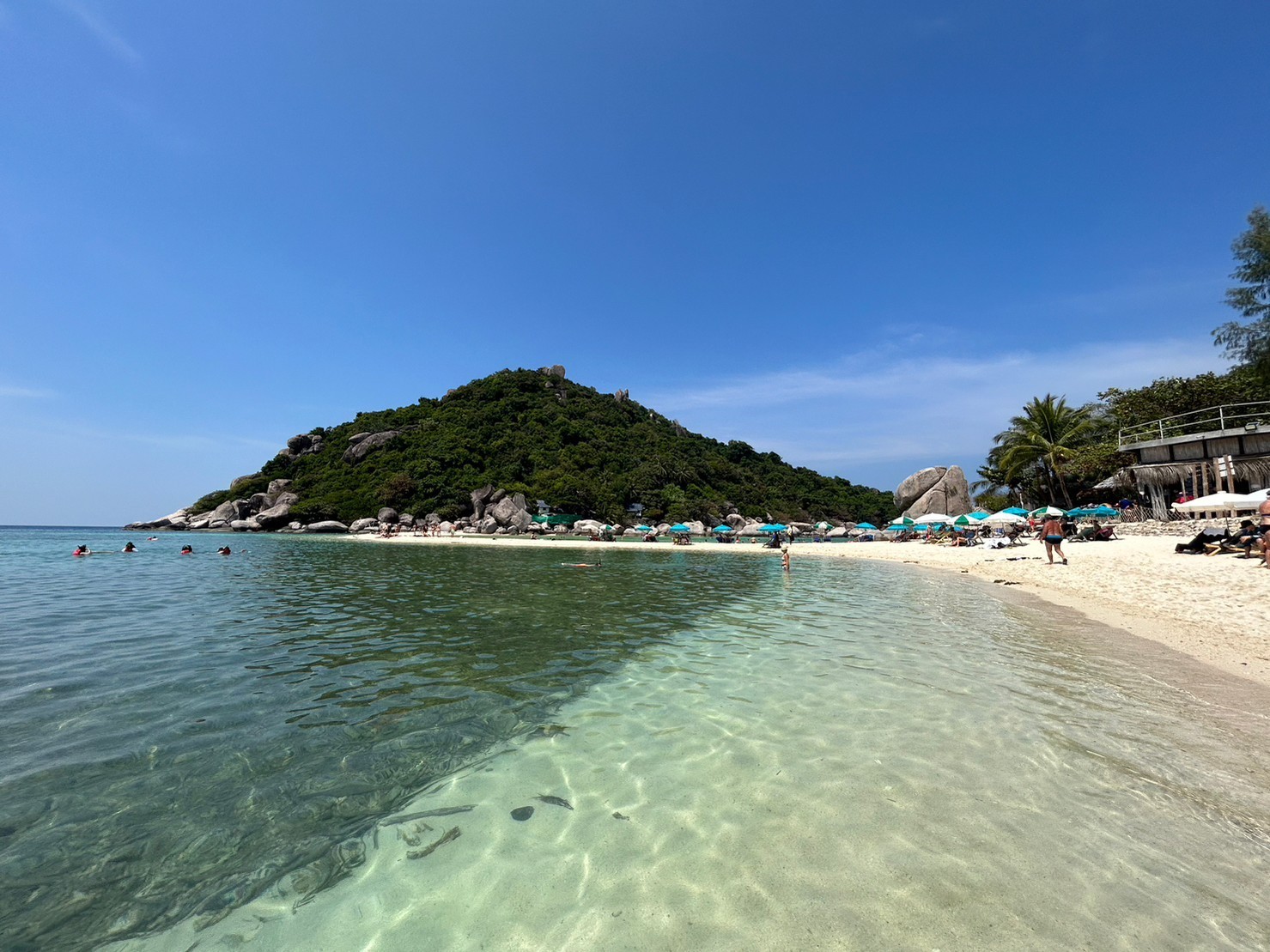 Discover Koh Tao VIP Speedboat