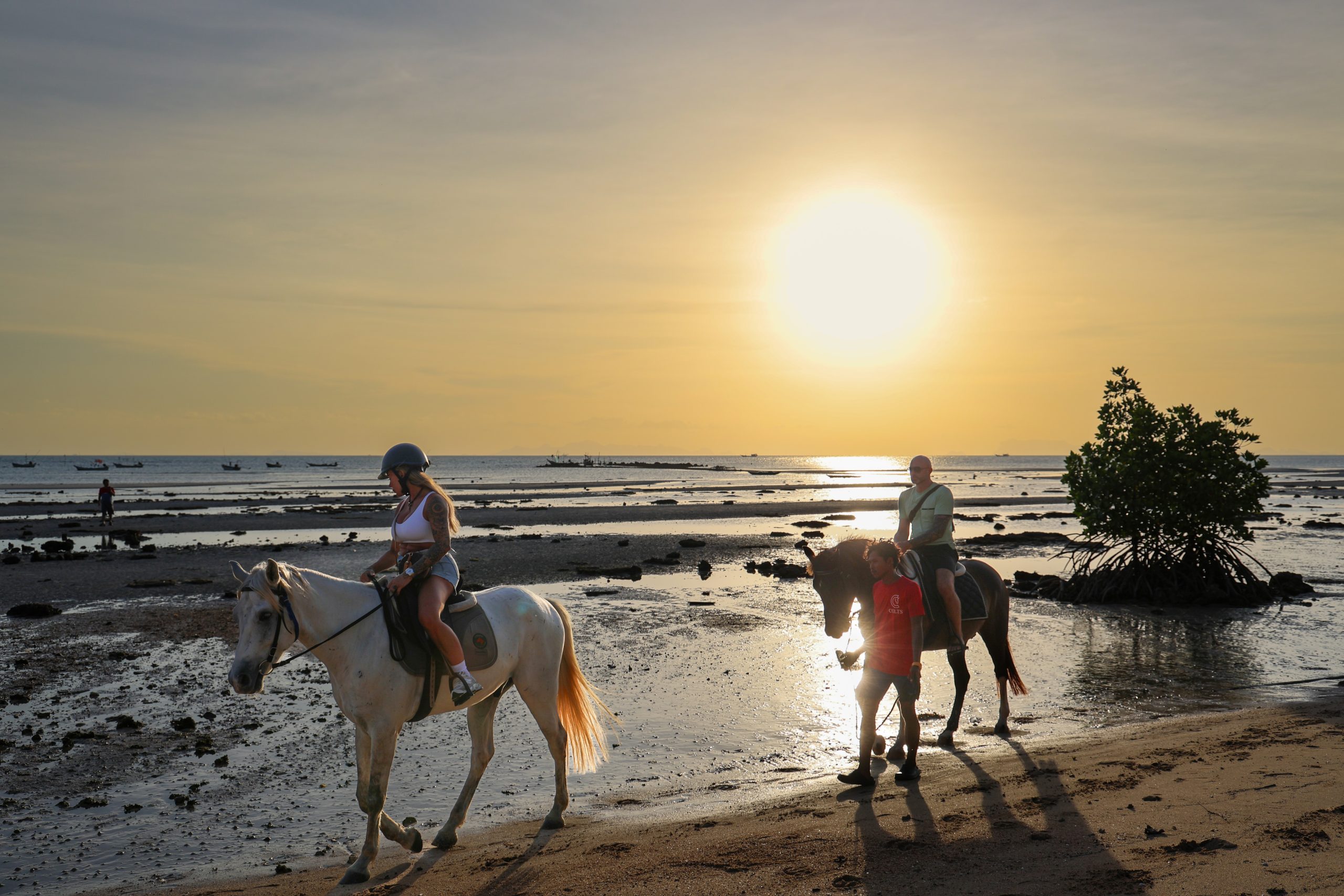 Horse riding on the beach